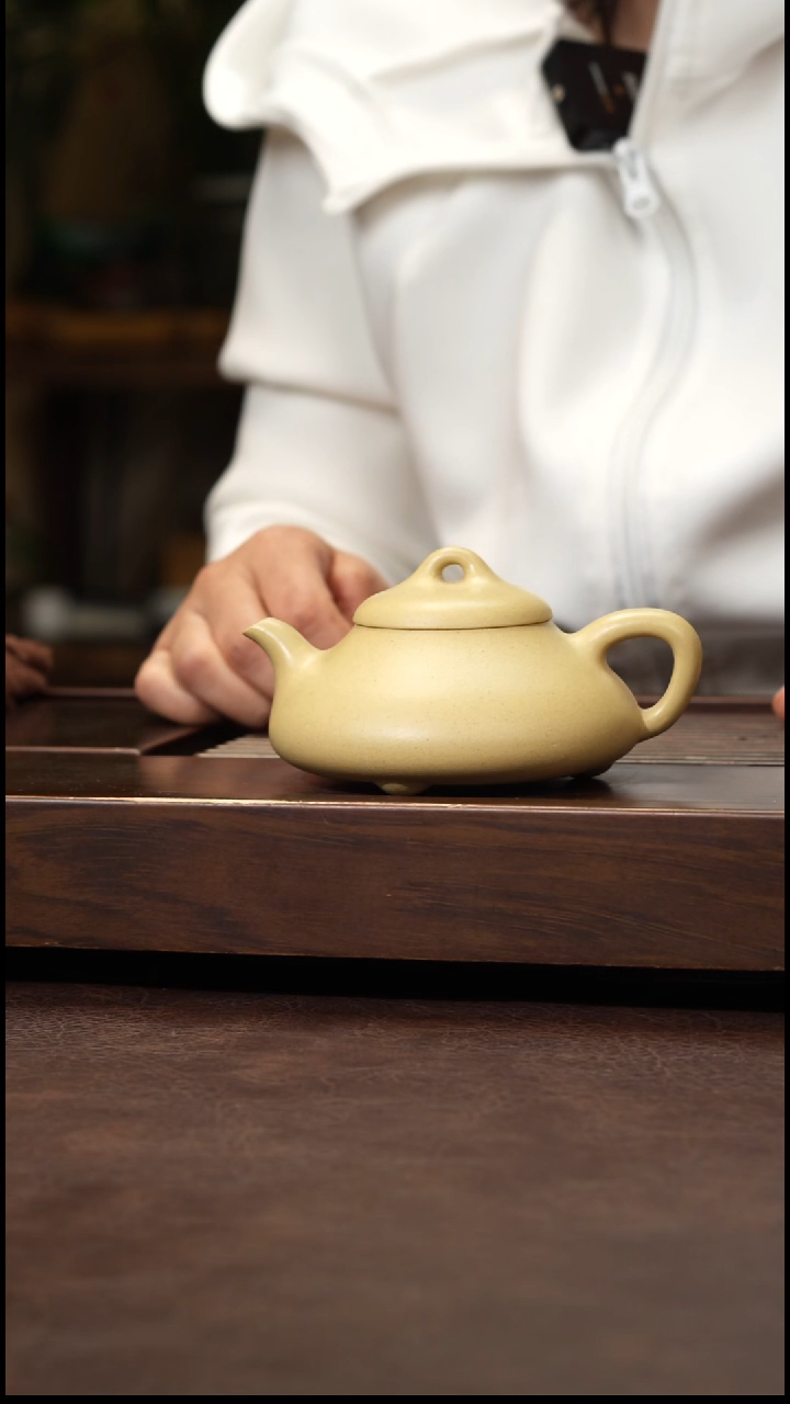 茶壶紫砂本绿纳瓢