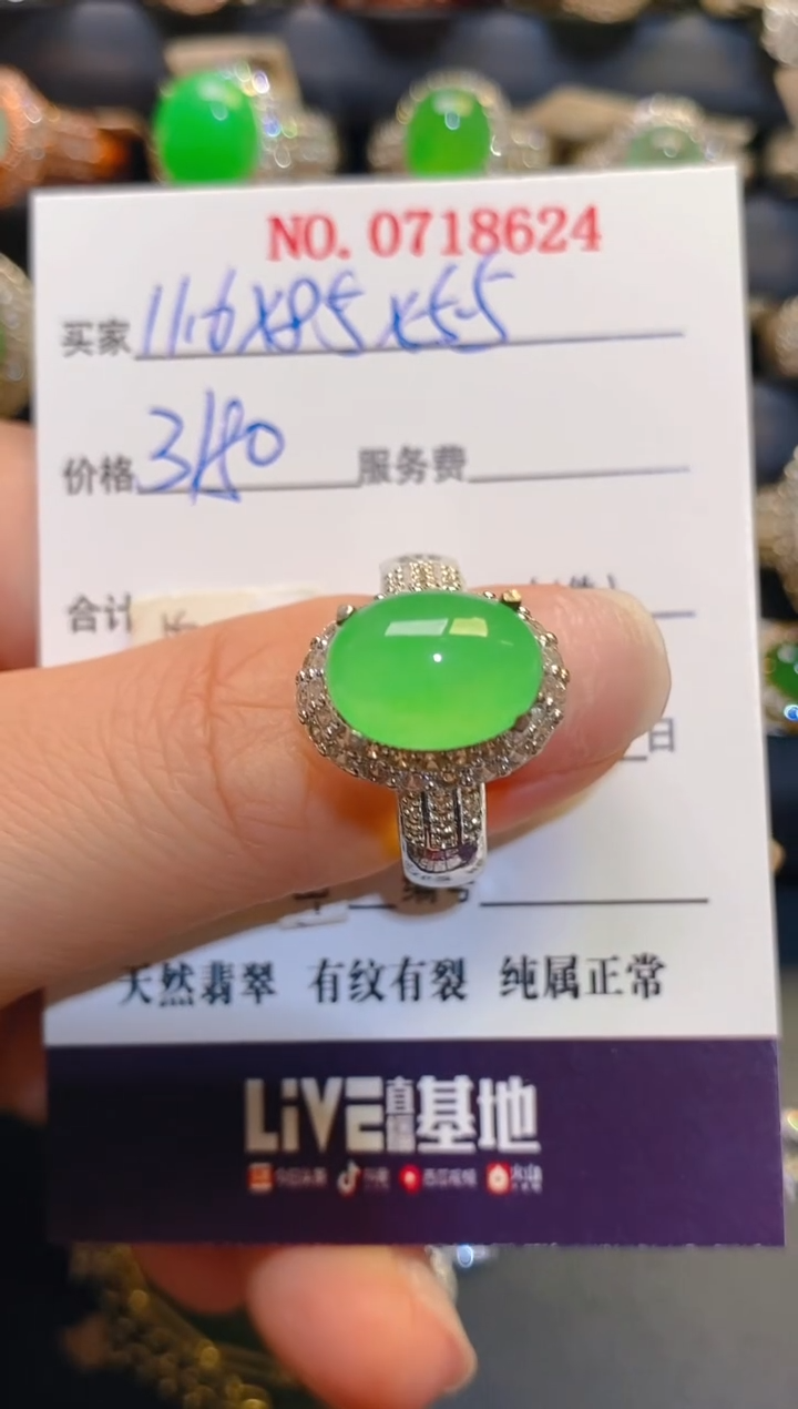 未镶嵌翡翠耳饰天然