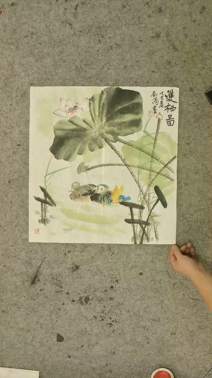 国画50*50cm斗方   花卉  荷花