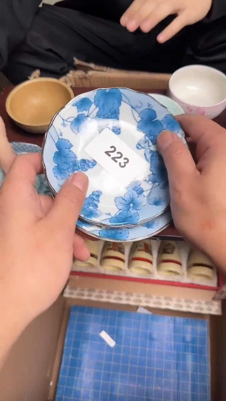 瓷片瓷器瓷器瓷器223