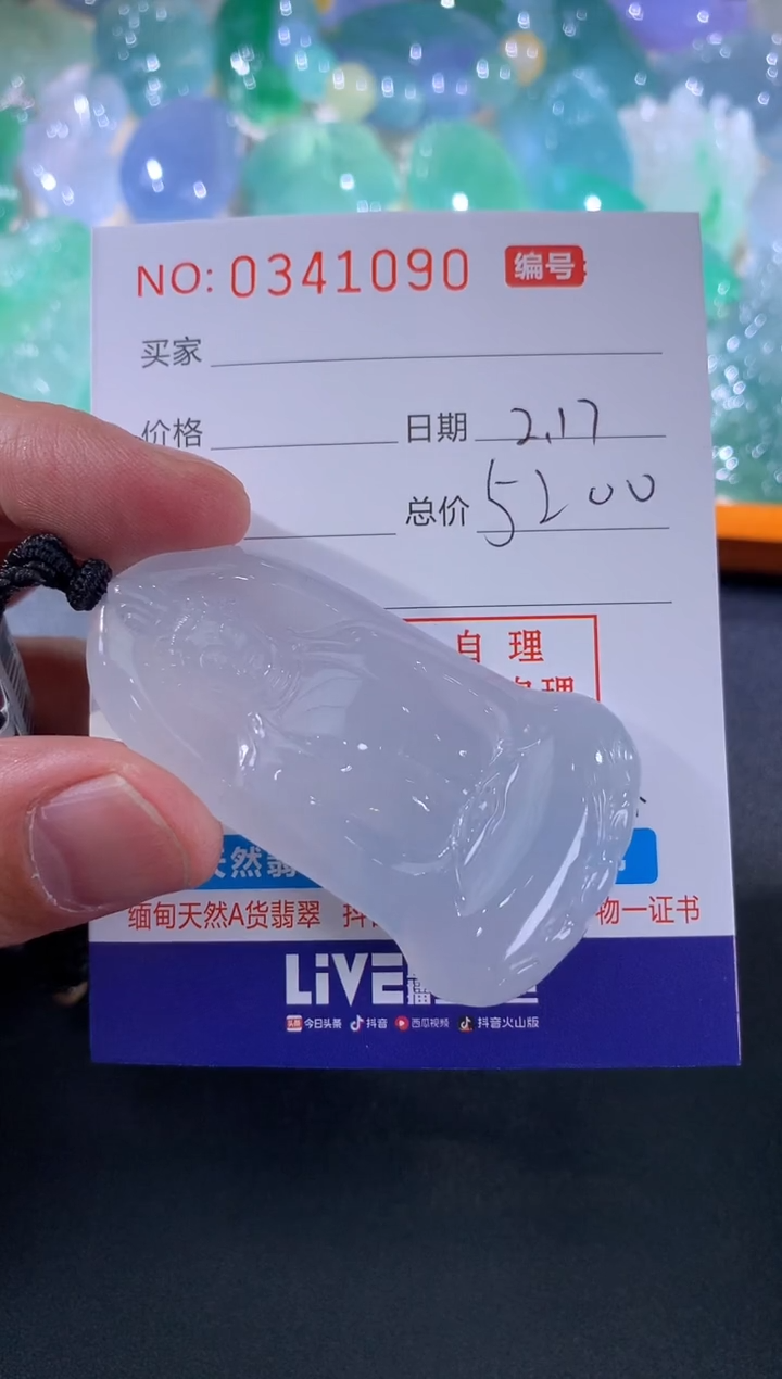 【闪购商品】翡翠颈饰未镶嵌天然A货翡翠