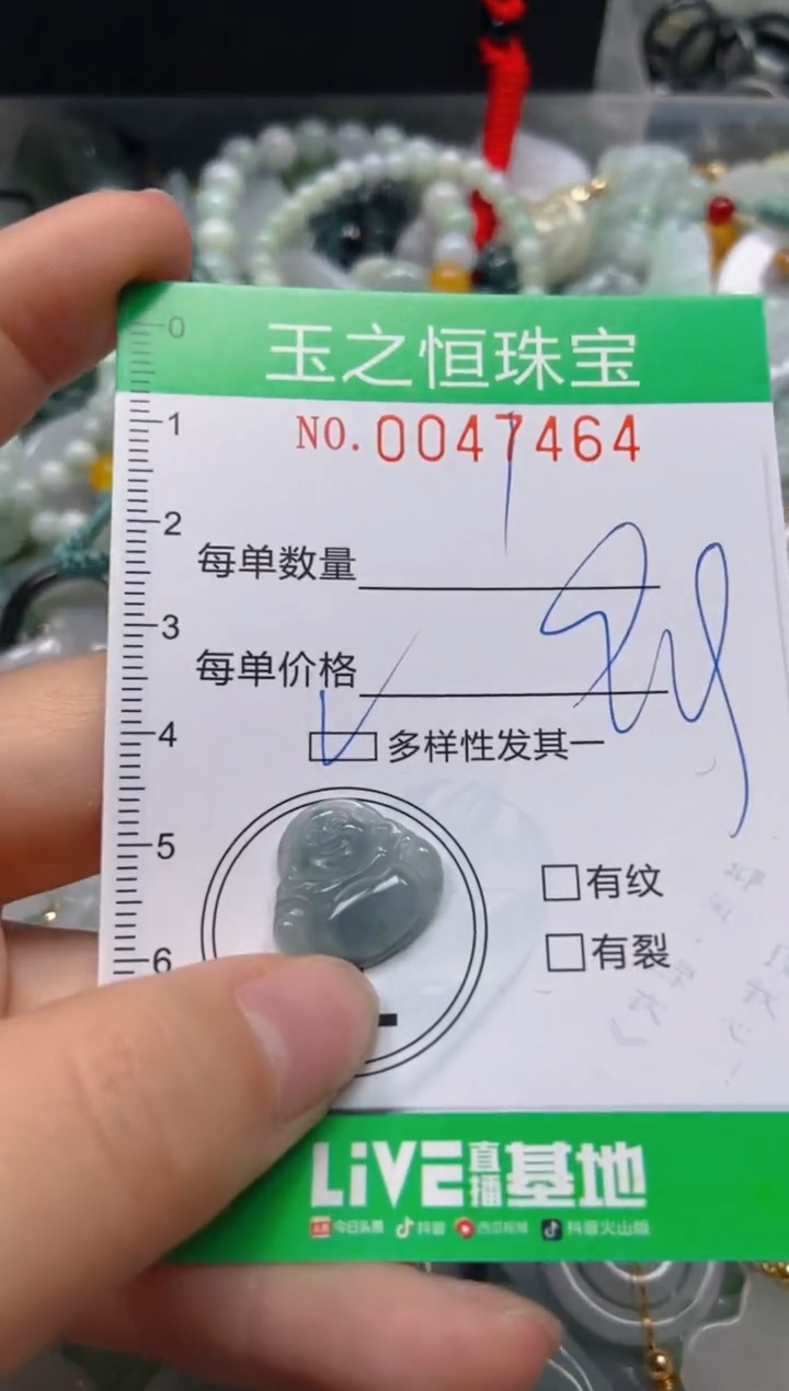 【闪购商品】翡翠颈饰未镶嵌闪购0047464多样性发其一