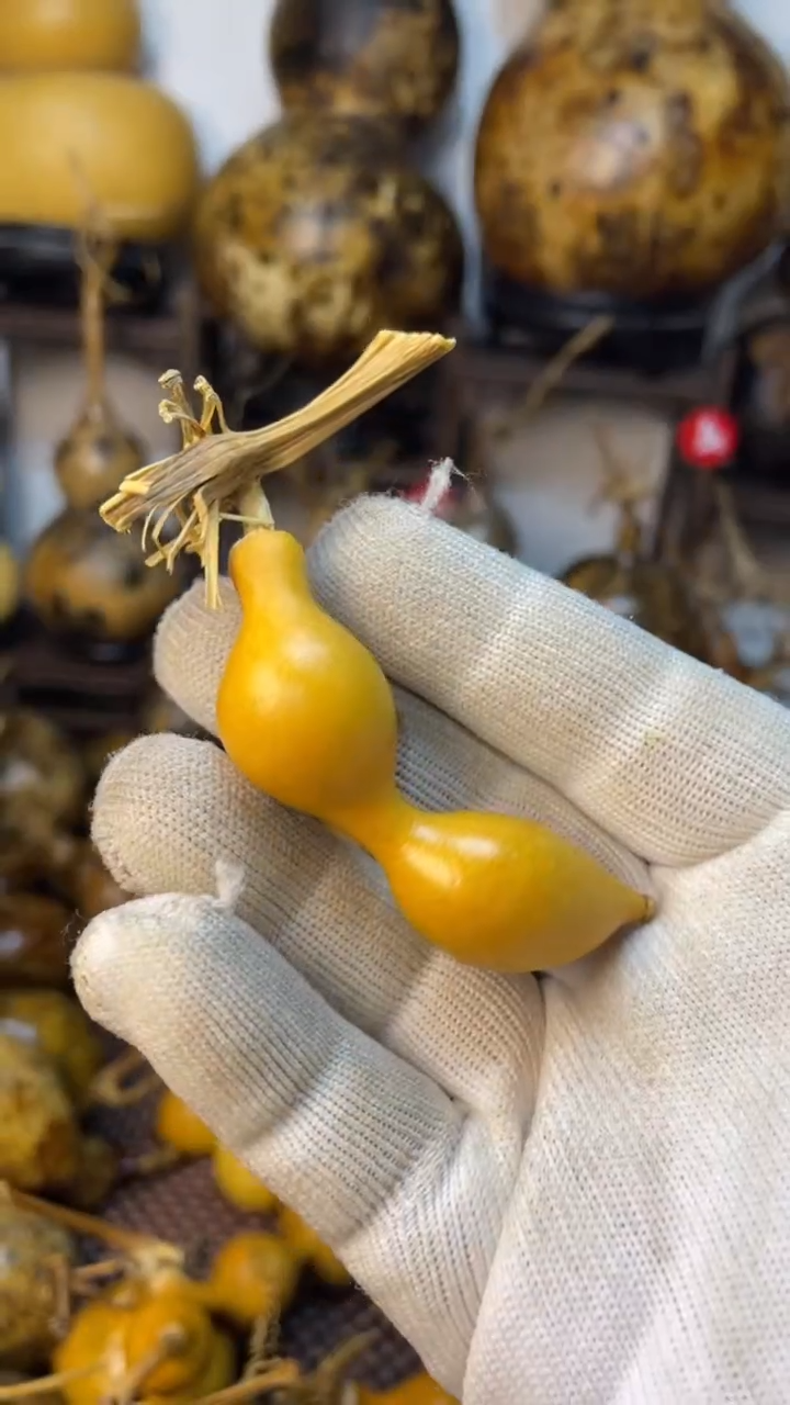 【闪购商品】葫芦葫芦葫芦葫芦