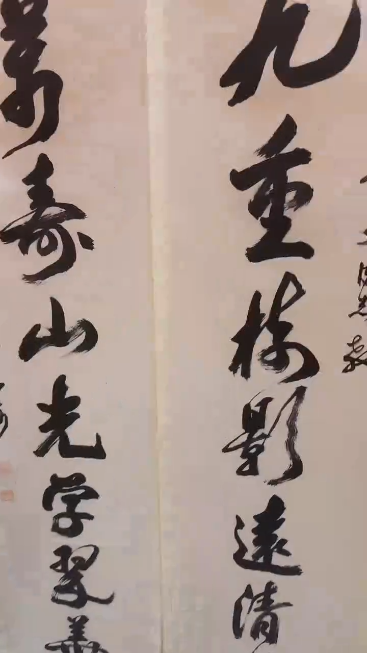 书法a8-2-21沙老师8平尺对联轴作品