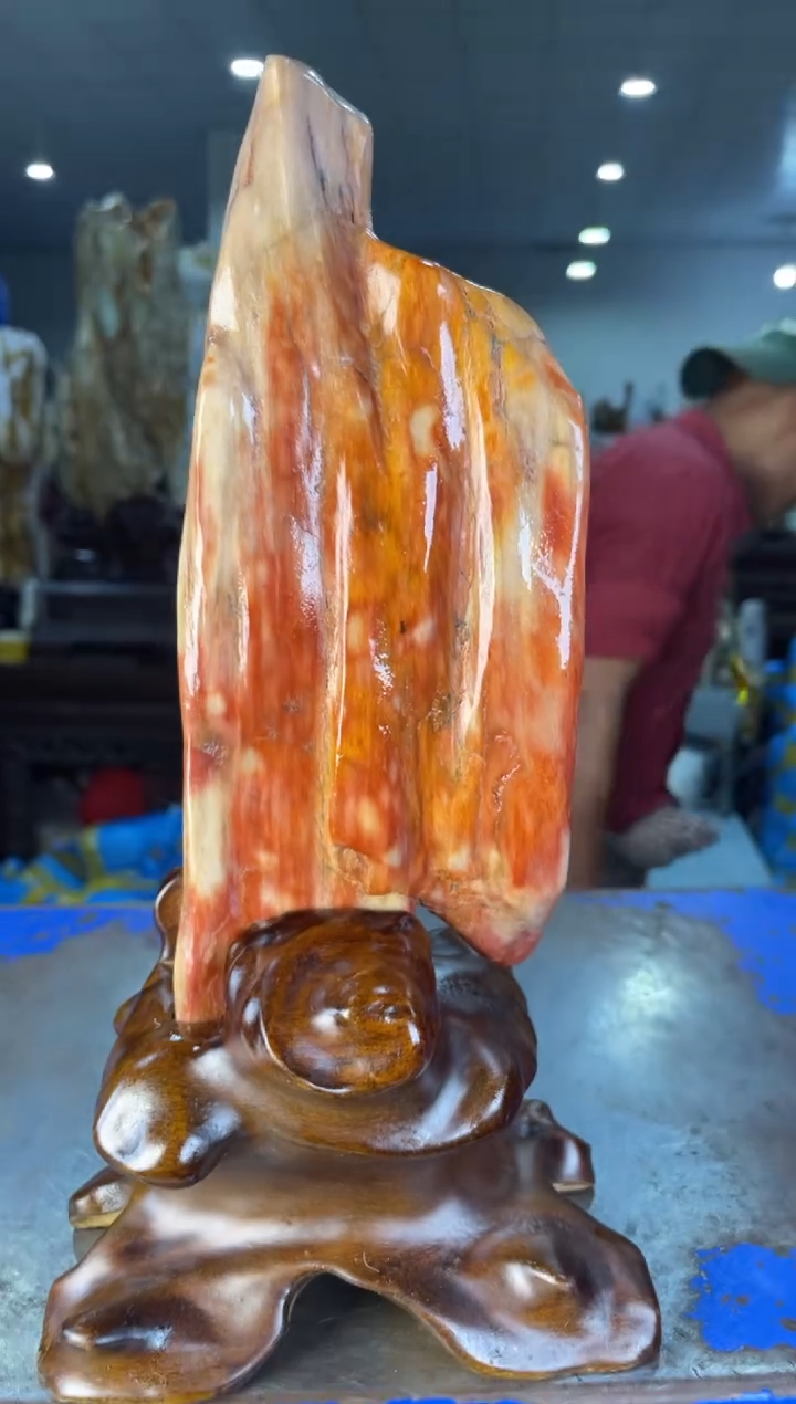 未镶嵌摆件硅化玉5
