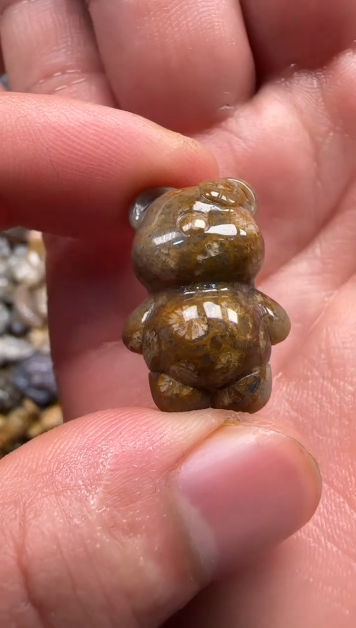 【闪购商品】硅化珊瑚（珊瑚玉）颈饰未镶嵌405