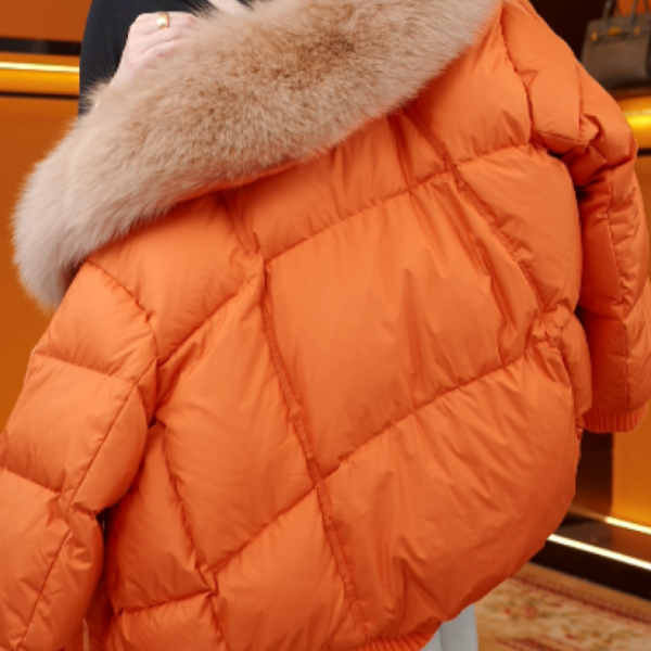 LK-冬季新款法式气质优雅显瘦羽绒服