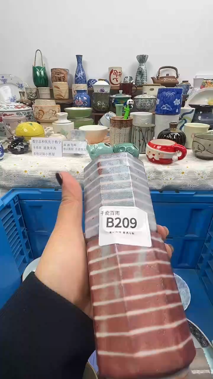 瓷片国**南千瓷百陶 默认微瑕B209