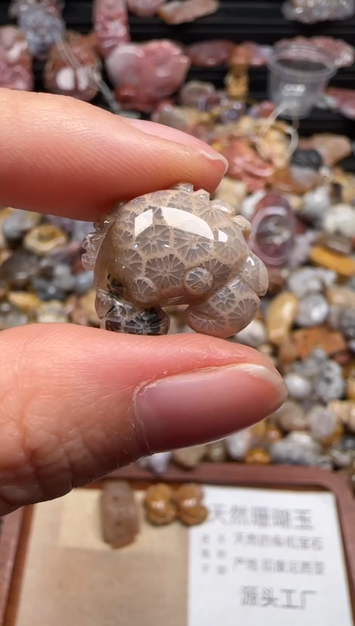 【闪购商品】硅化珊瑚（珊瑚玉）颈饰未镶嵌687