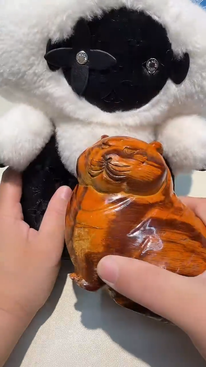 瓷片都是大宝贝儿都是大漂亮****579