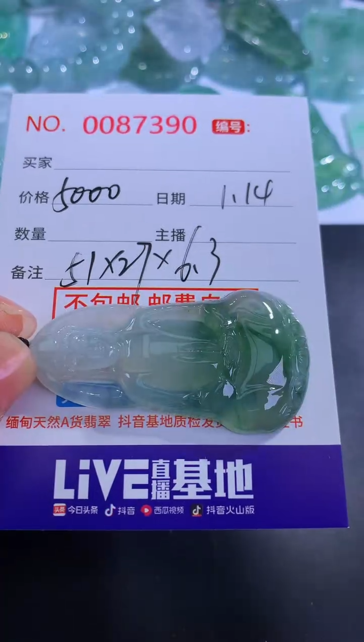 【闪购商品】翡翠颈饰未镶嵌！