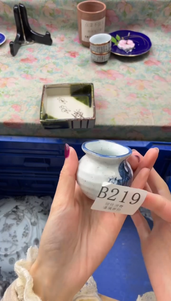 瓷片酸**子       B219