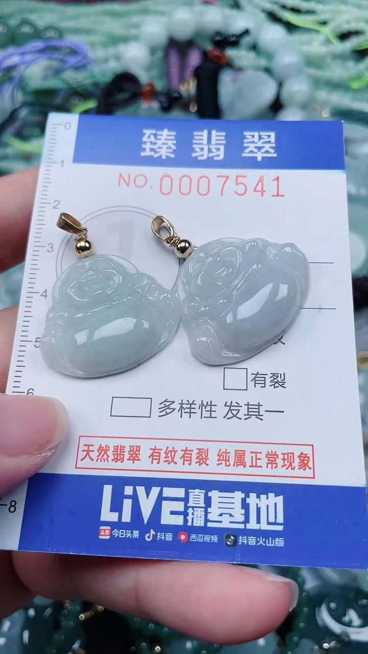 颈饰未镶嵌翡翠.0007541