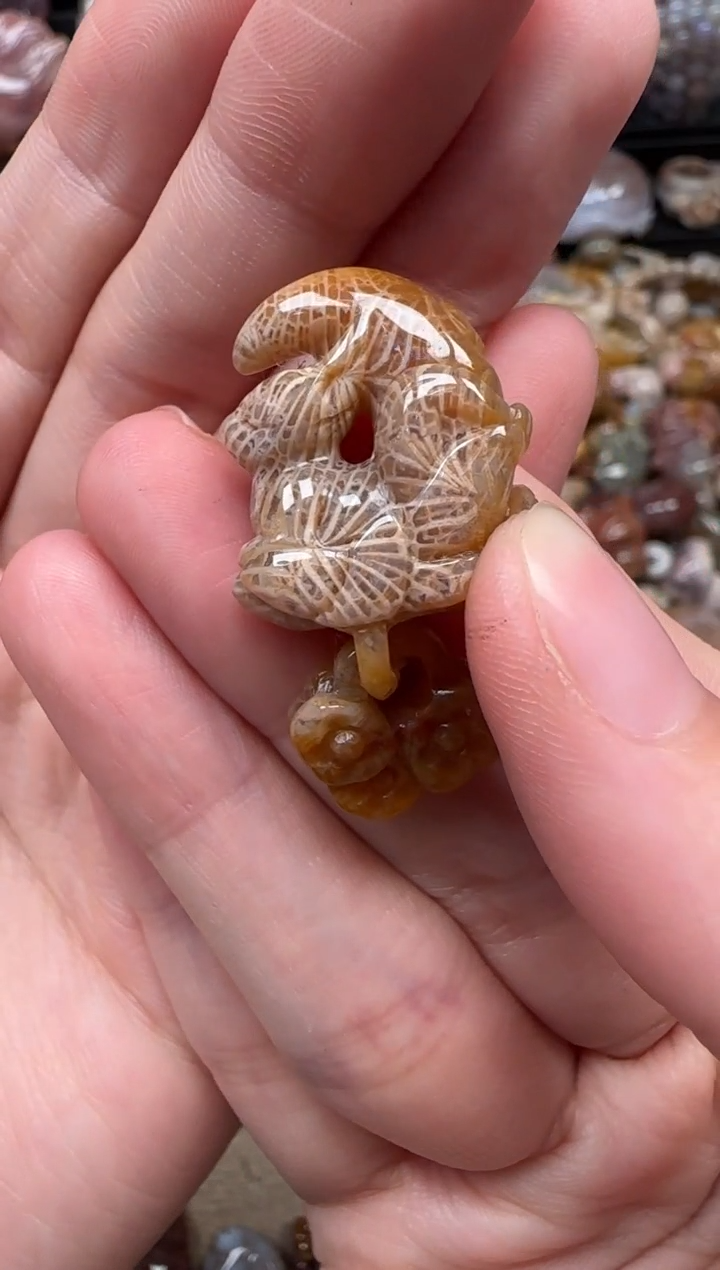 颈饰未镶嵌硅化珊瑚（珊瑚玉）901
