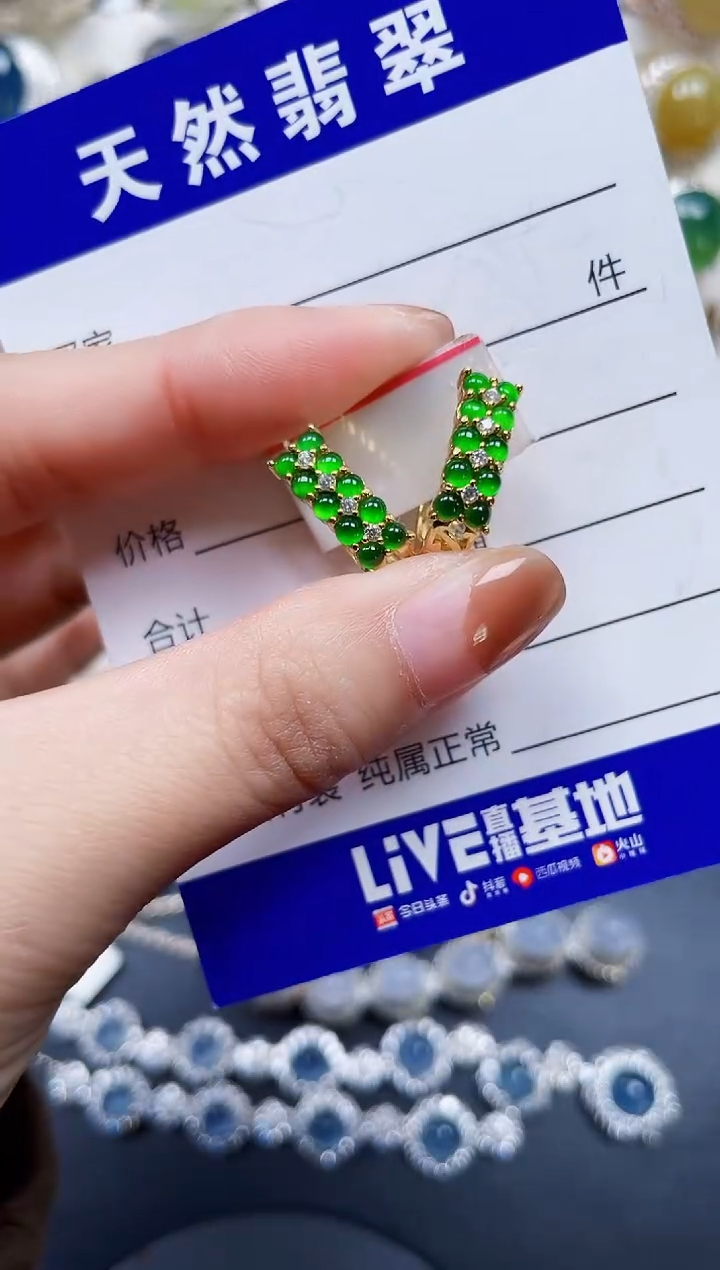 银S925镶嵌翡翠耳饰268