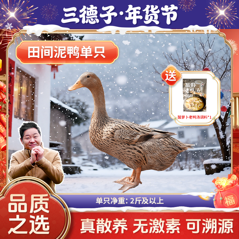 三德子【田间泥鸭】散养500天麻鸭土鸡土鸭炖汤红烧新鲜营养美味