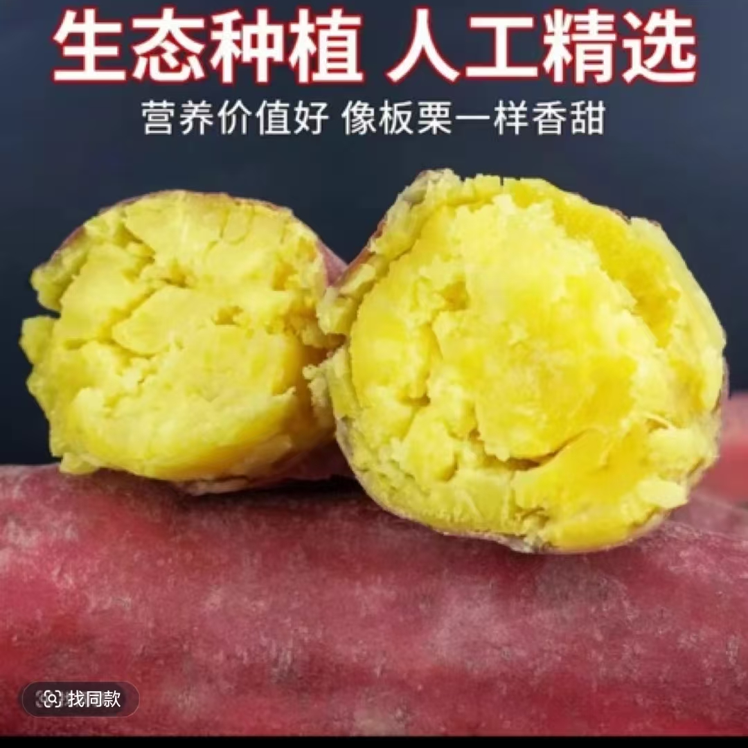 （买3斤送2斤重5斤】新鲜现挖沙地板栗红薯粉糯香甜正宗红薯5斤包邮