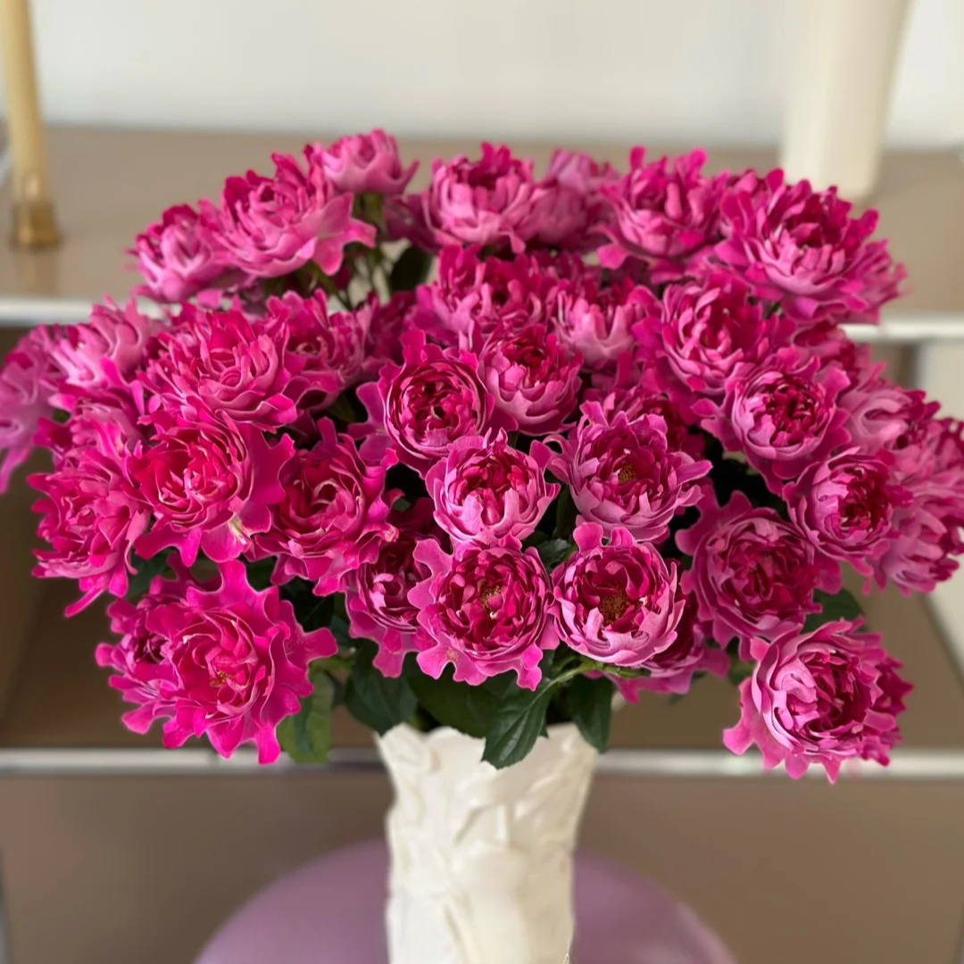 云南木木花卉 梅子海葵 品牌多头玫瑰鲜切花束家庭氛围感鲜花插花