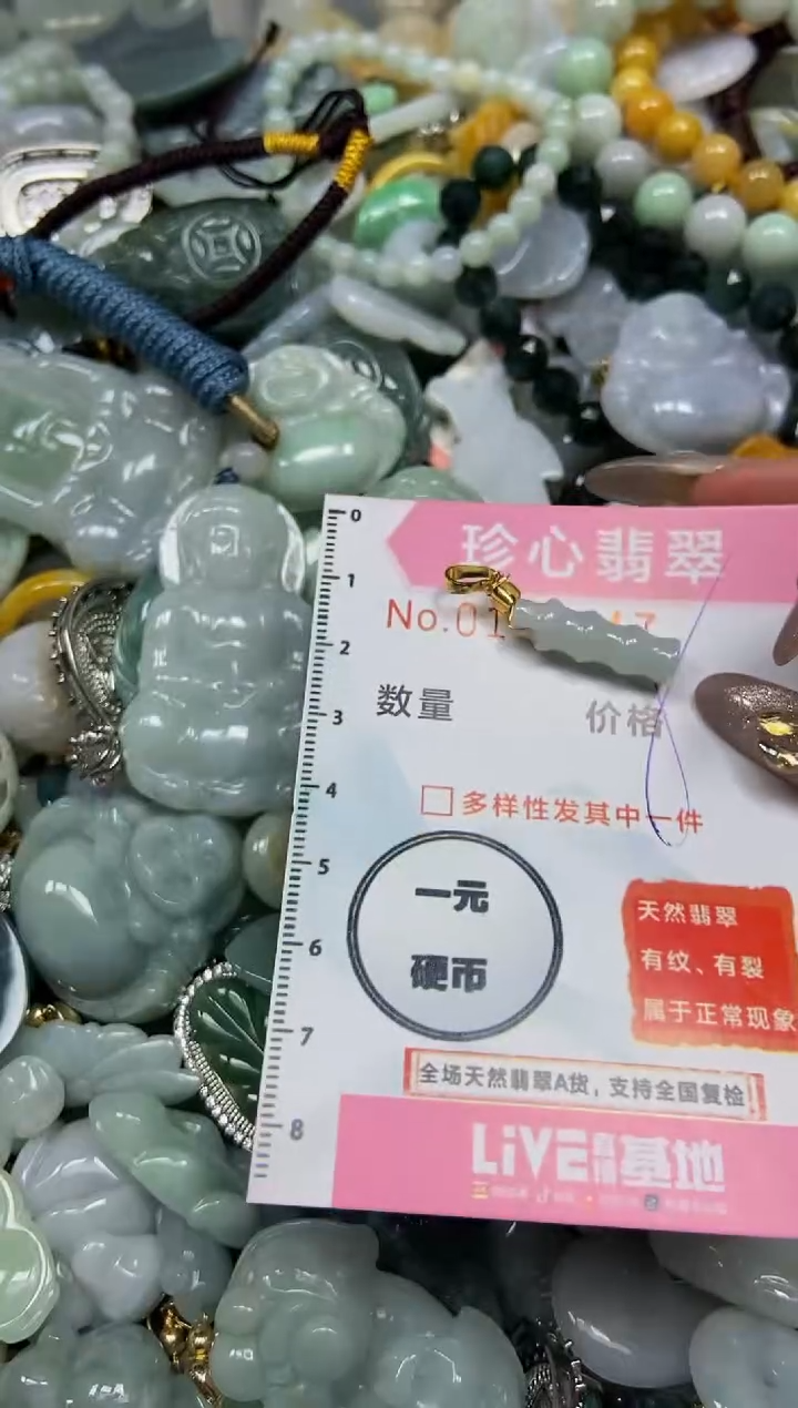 【闪购商品】翡翠颈饰未镶嵌闪购0146247