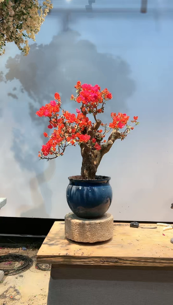 【闪购商品】aa924