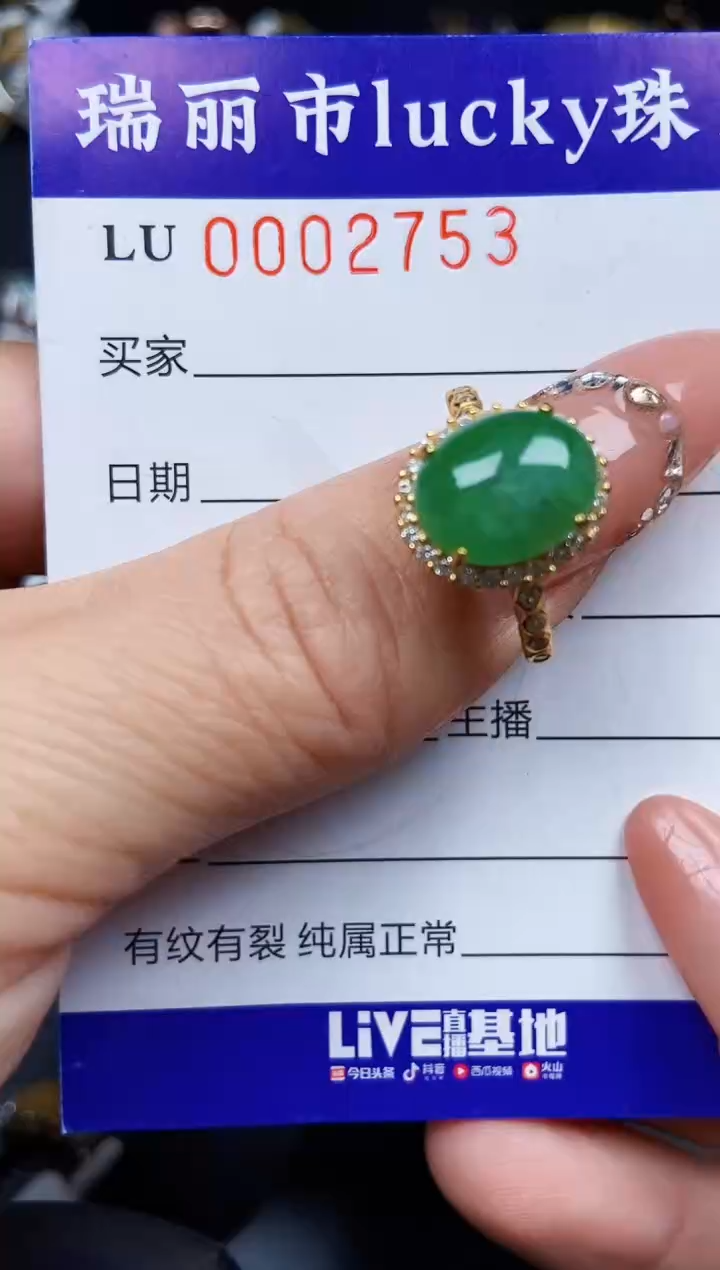 翡翠银S925镶嵌颈饰2753