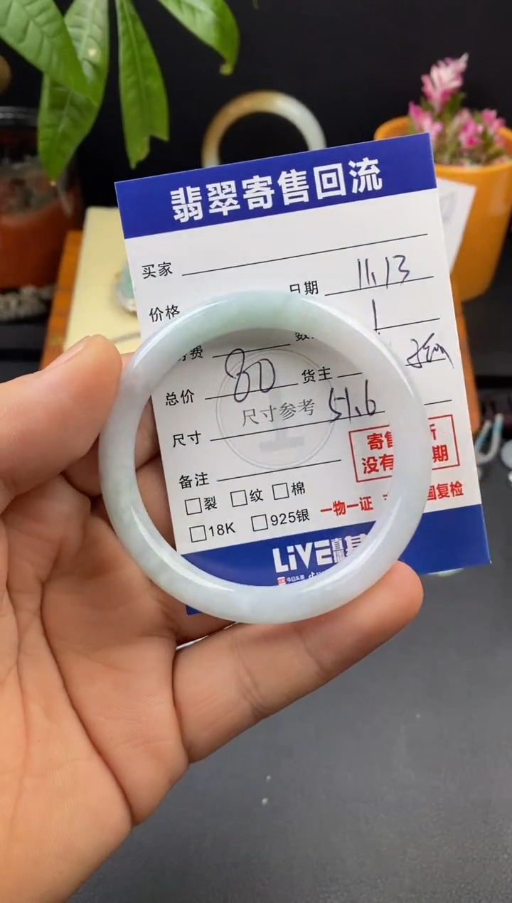 未镶嵌手镯翡翠3000370