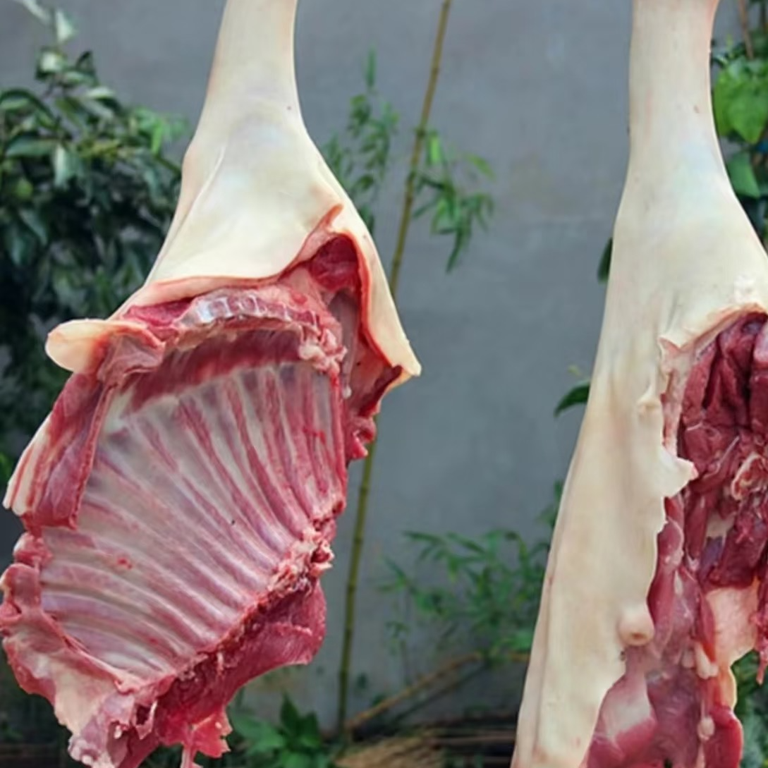 羊排新鲜现杀生鲜包邮