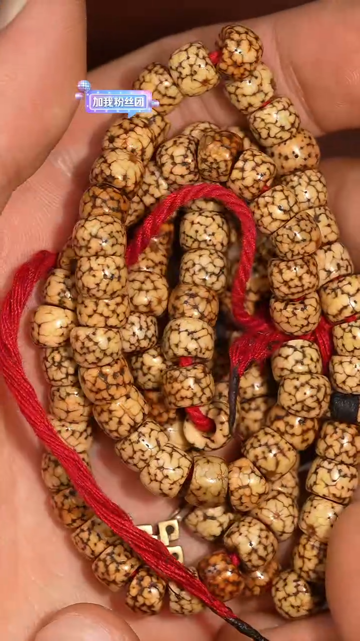 冲赛康胡子哥，藏传念珠5