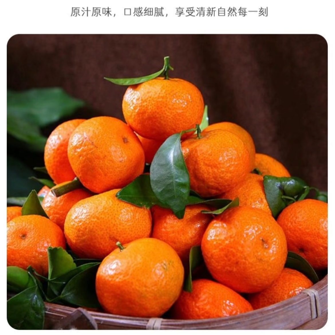 正宗广西砂糖橘新鲜应季水果爆甜多汁新鲜水果现摘现发包邮