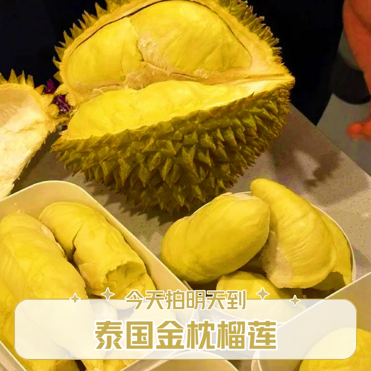 【*泰国老树金枕】特级金枕新鲜榴莲2-5斤皮薄核小肉厚饱满带壳整颗鲜果老树软糯香甜榴莲金枕泰国东部