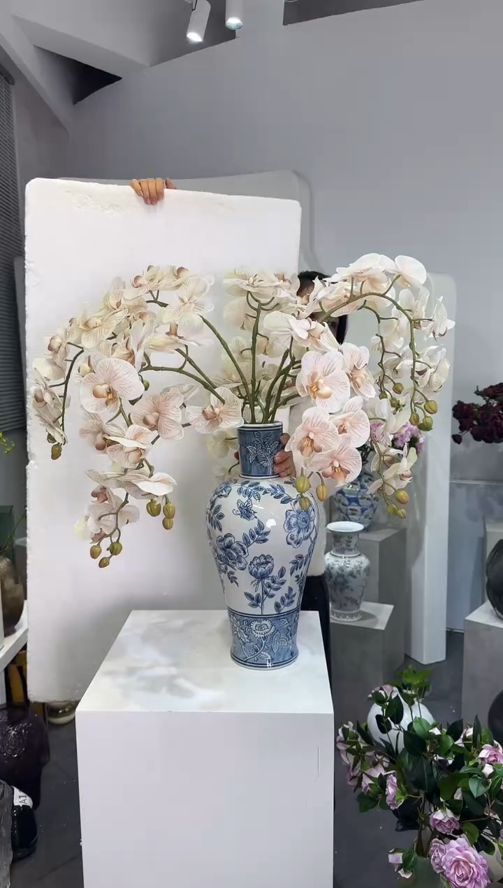 【闪购商品】藤10支奶茶色蝴蝶兰（不含花瓶）