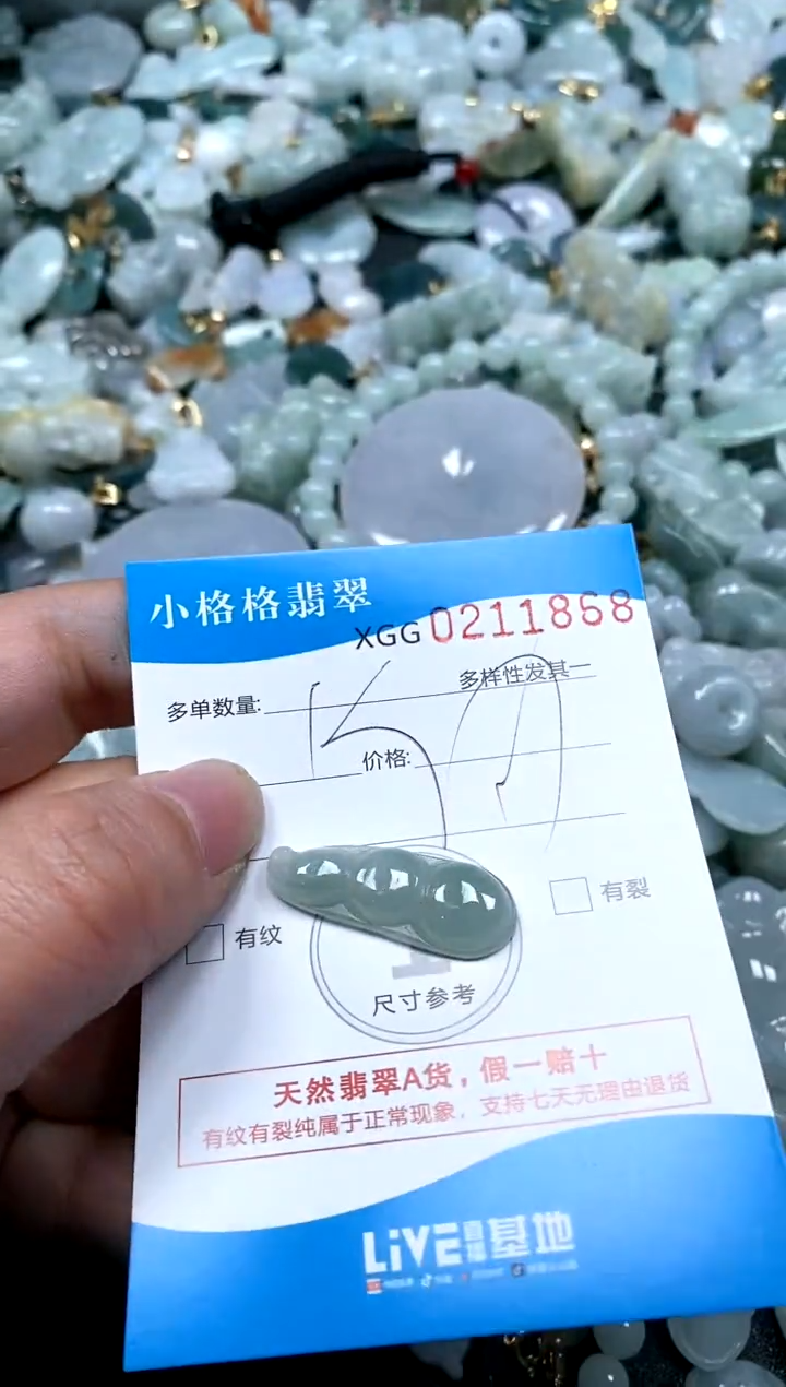 【闪购商品】翡翠颈饰未镶嵌闪购商品0211868