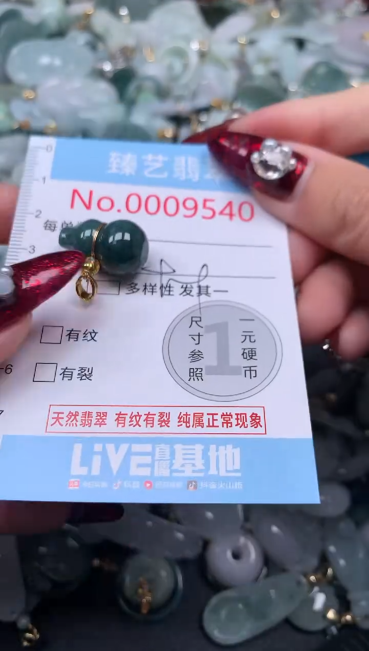 颈饰未镶嵌翡翠9540