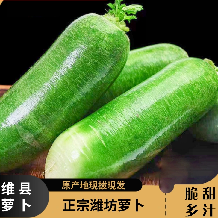 潍坊水果萝卜甜脆水果型生吃山东特产正宗蔬菜5斤即食青萝卜包邮