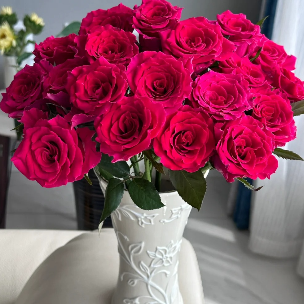 高胜【植末-高级单头玫瑰】1单中通包邮，3单顺丰冷链