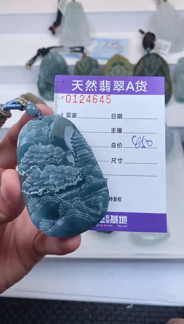 【闪购商品】翡翠颈饰未镶嵌         645