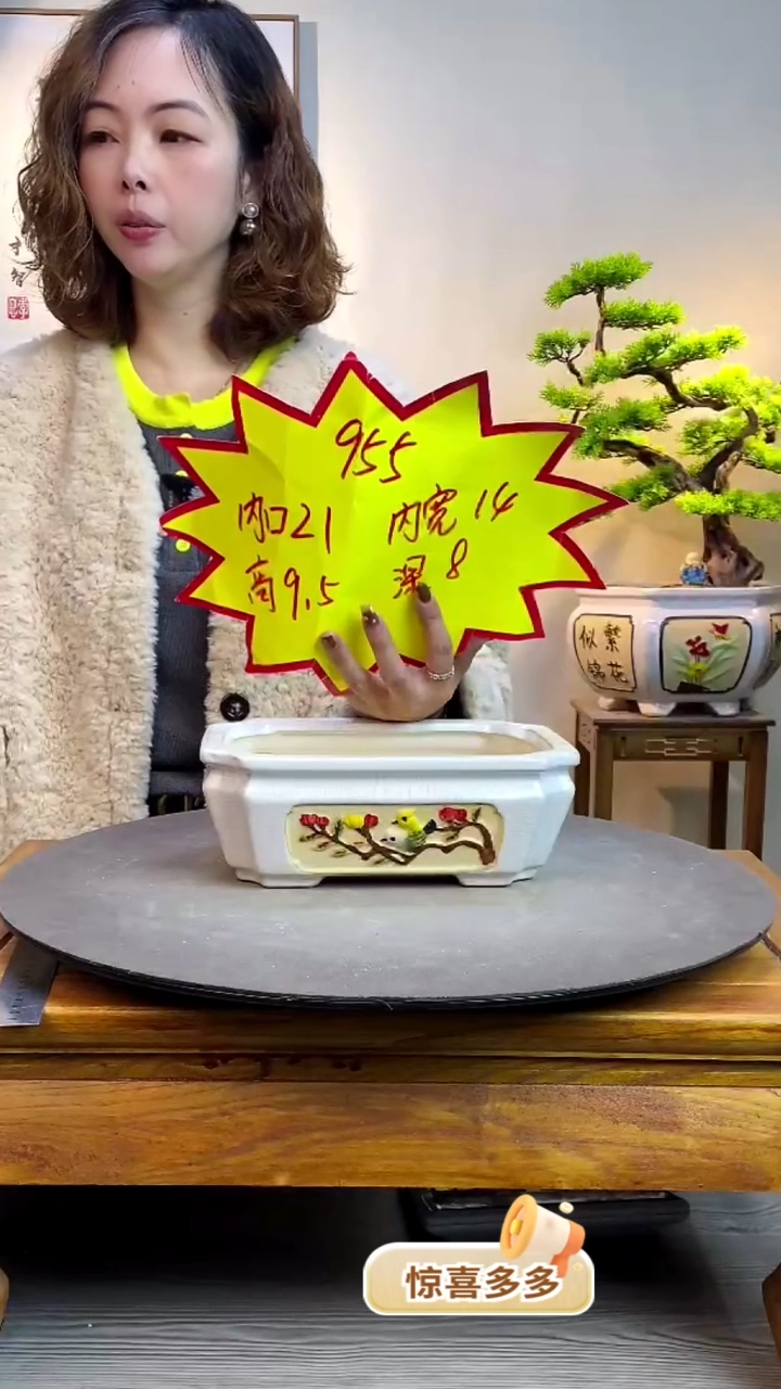 【闪购商品】陶瓷955白色