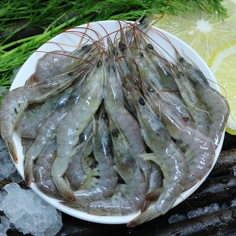 【大禹】野生原浆小海虾，鲜活速冻，净重3.8-4斤青岛码头发货