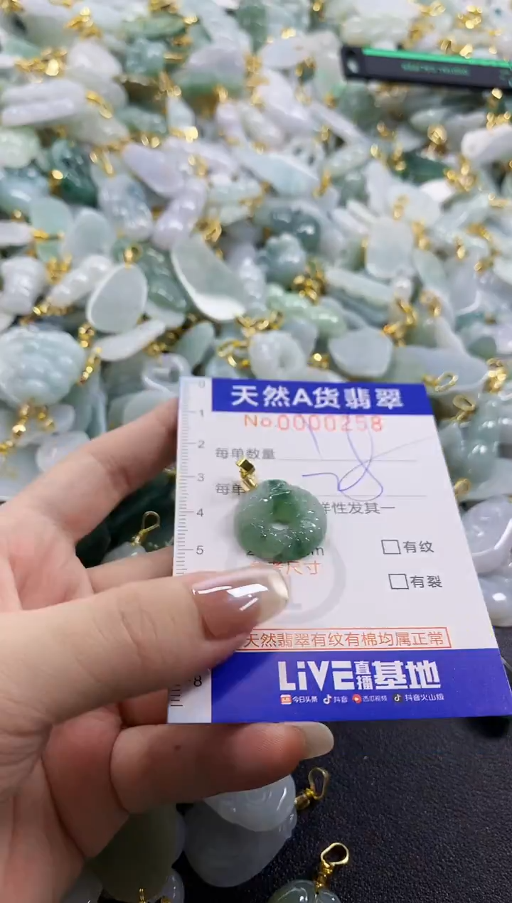 颈饰未镶嵌翡翠天然A货翡翠