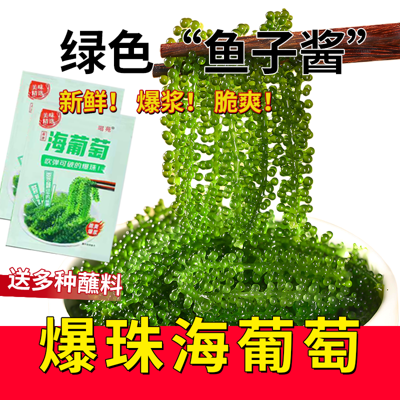 昭苑新鲜儿童海葡萄即食盐渍海藻长寿菜绿色健康营养食材