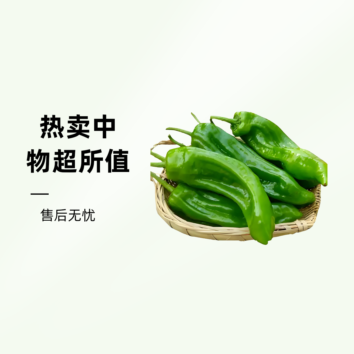 大青辣椒500g