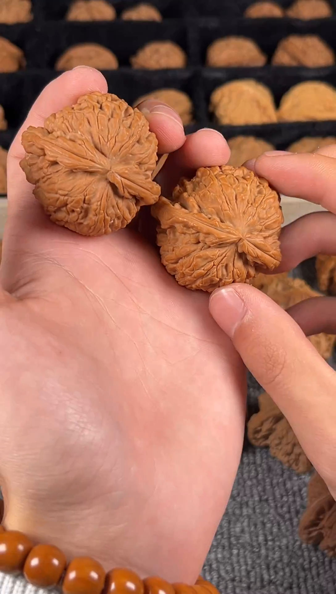 把件文玩核桃全品44尺白狮子12号