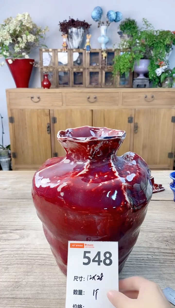 小玩子花盆直播号548