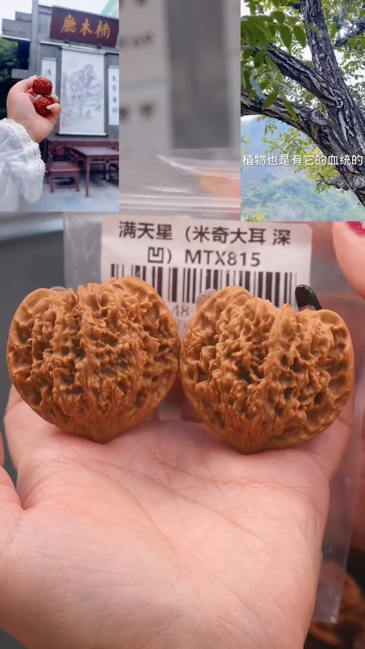 【闪购商品】文玩核桃吊坠48尺满天星狮子头