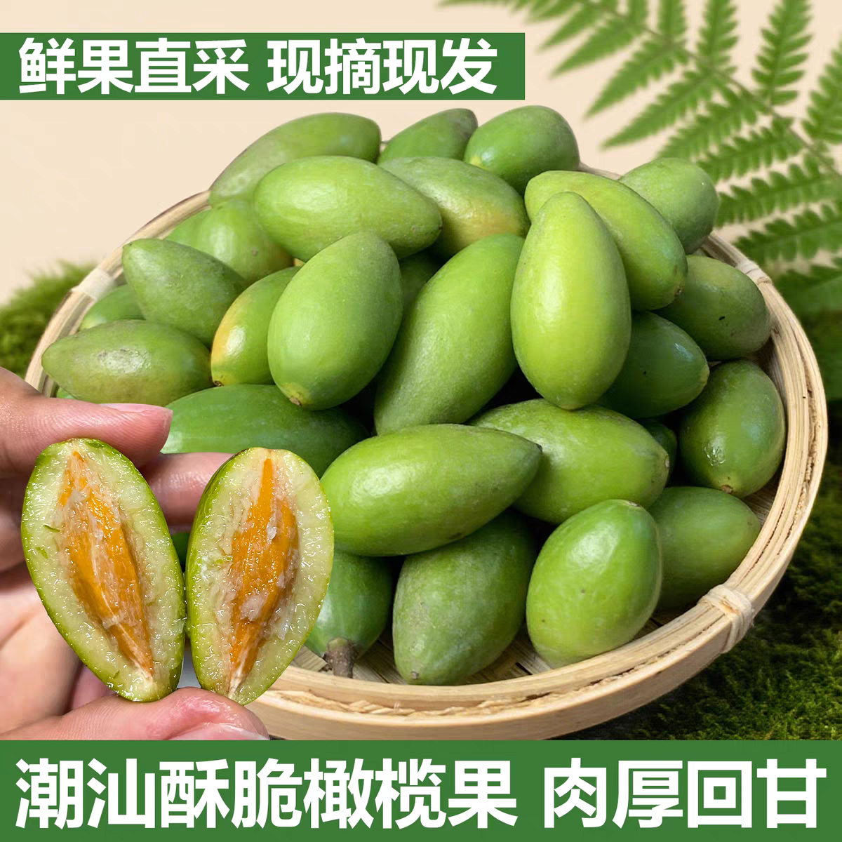 新鲜潮汕金灶水果甜种青橄榄生吃酥脆无渣回甘2号青果孕妇二号榄