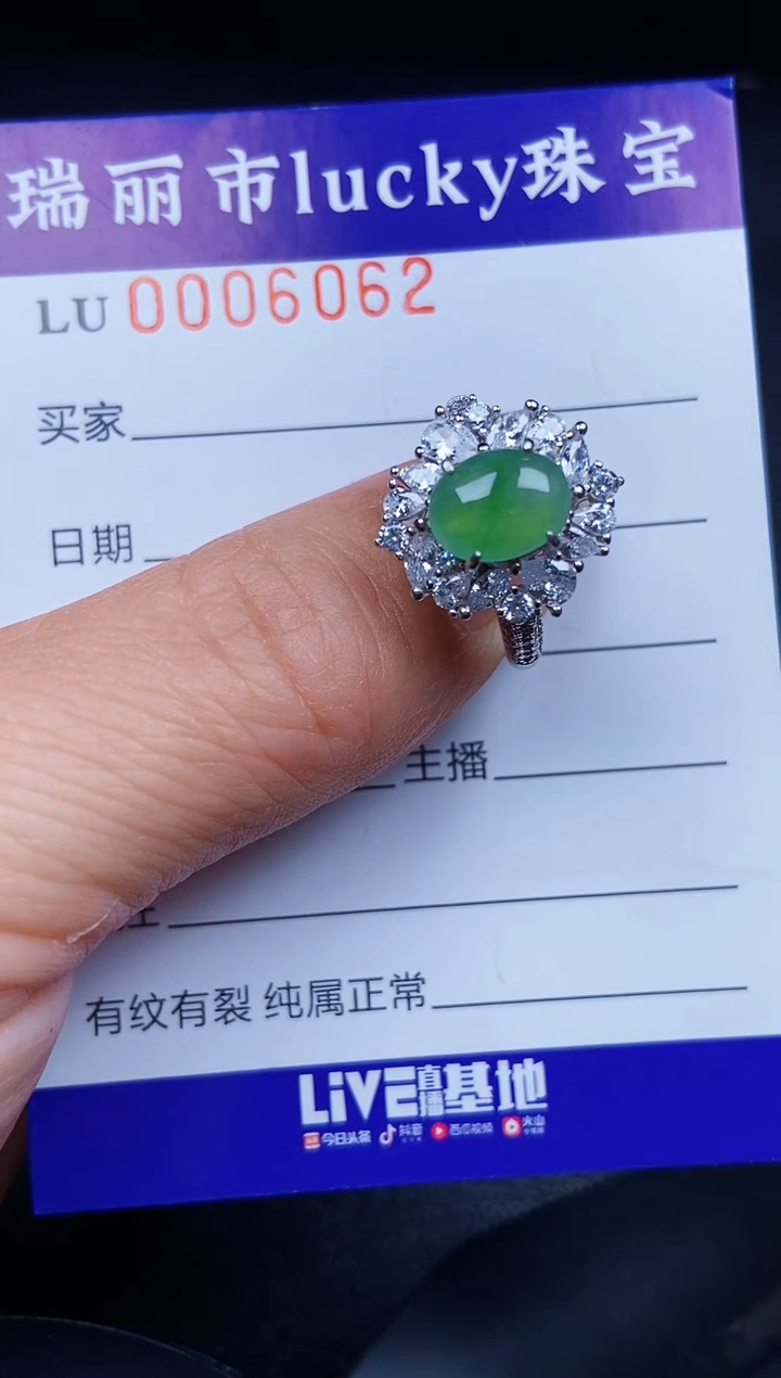 翡翠银S925镶嵌颈饰6062