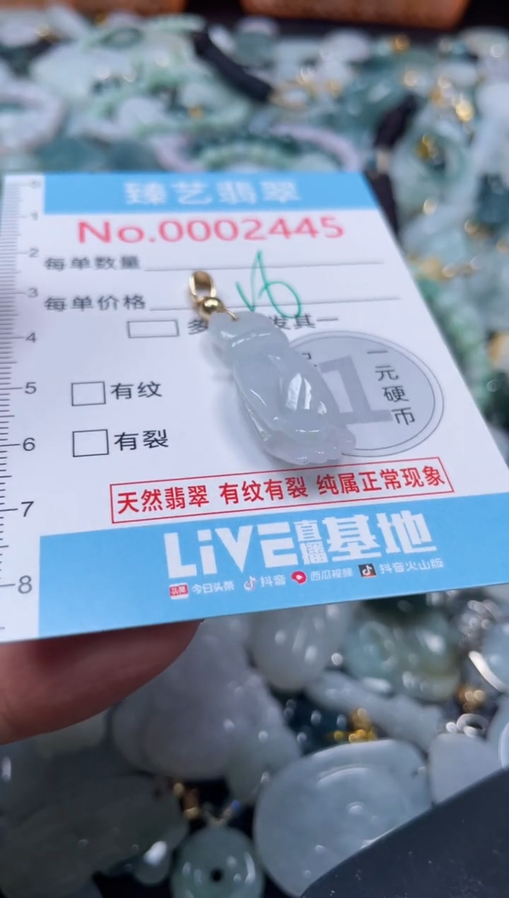 颈饰未镶嵌翡翠2445