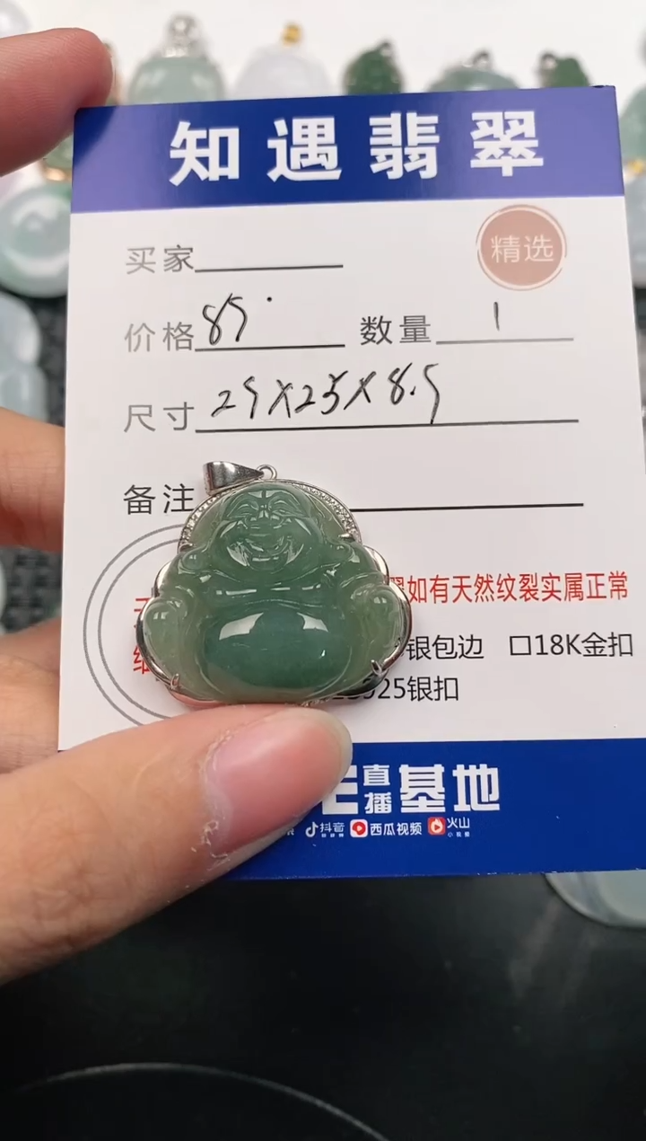 颈饰银S925镶嵌翡翠挂件