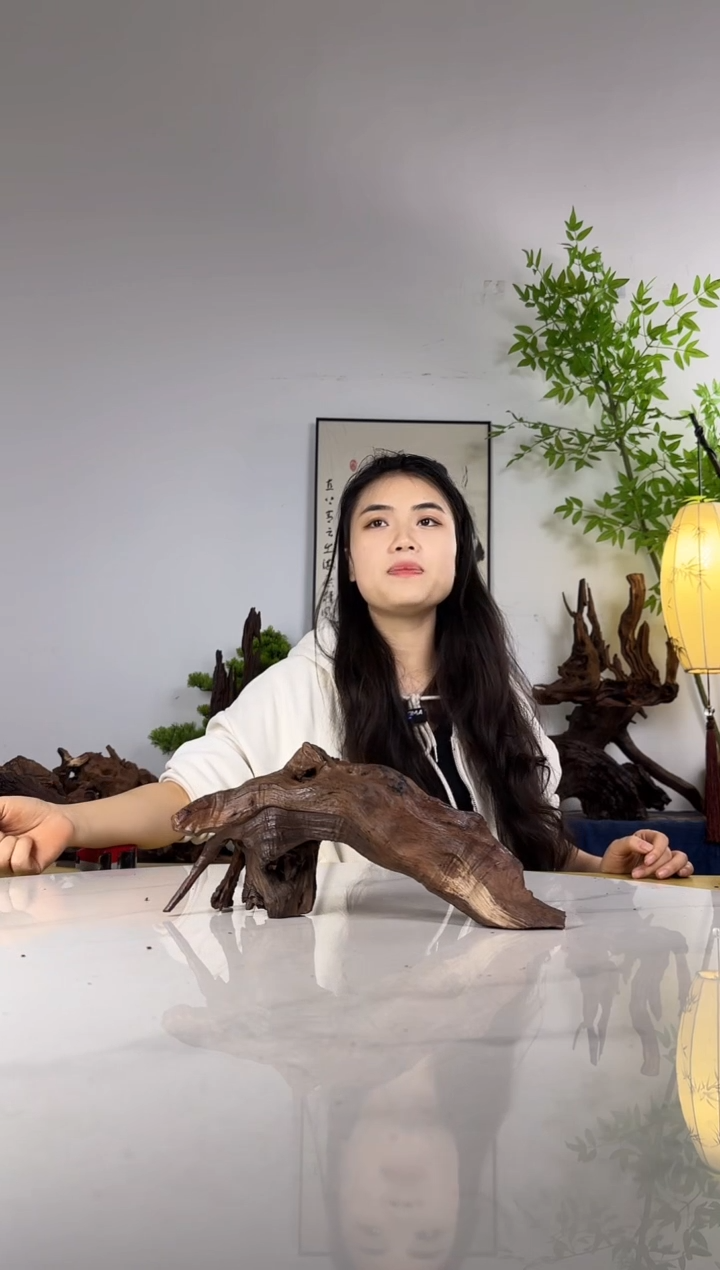 用****1拍沉木定向链接编号30