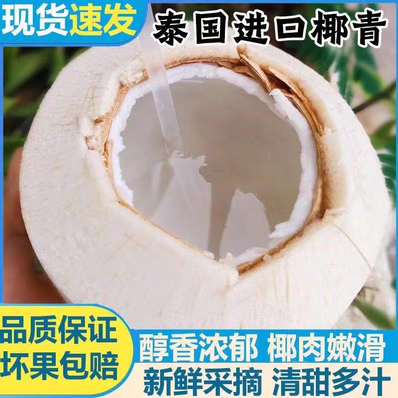泰国进口椰青精选果孕妇果夏日解暑